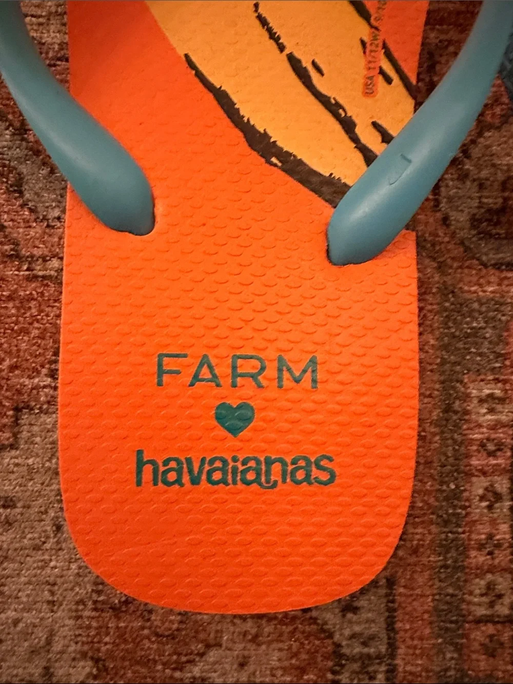 FARM RIO x HAVAIANAS Caramel Banana Dagua Sandals in Sz W11/12 M9/10 - NWT!